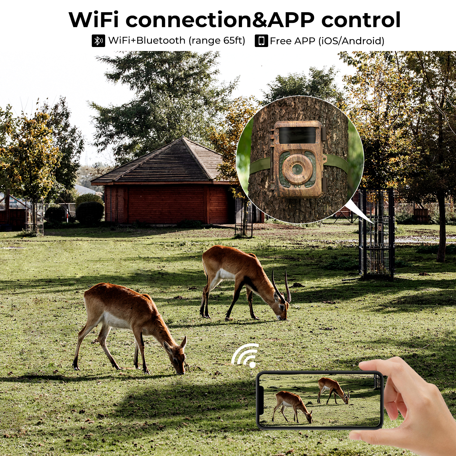 reconnect adt camera to wifi